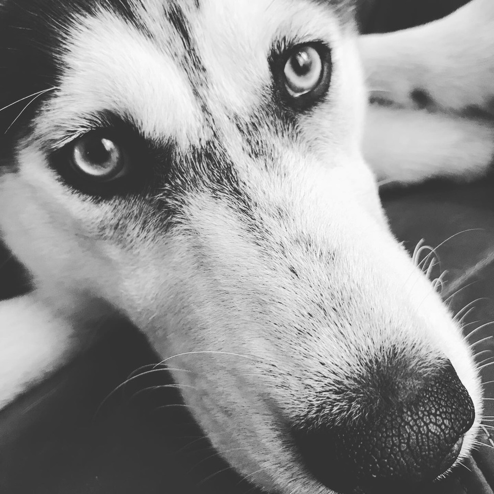 Meet your Posher, Tori